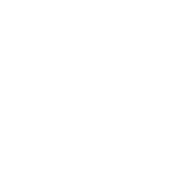 Bonuses and Rewards